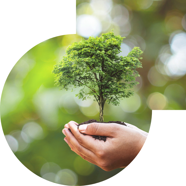 關懷人類、文化、環境與社會